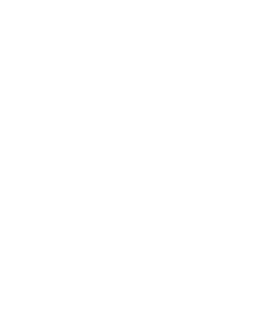 Meteor